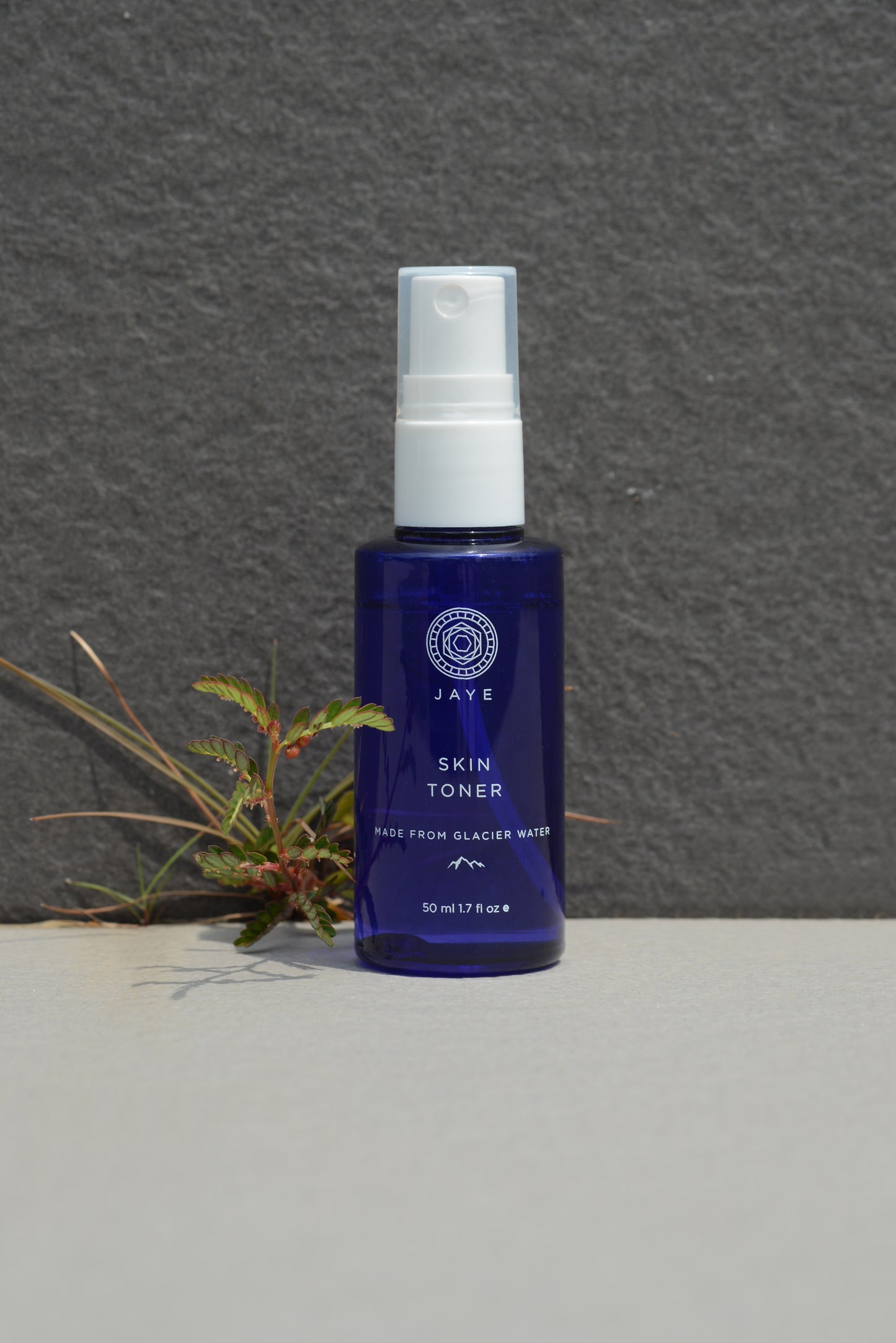 SKIN TONER